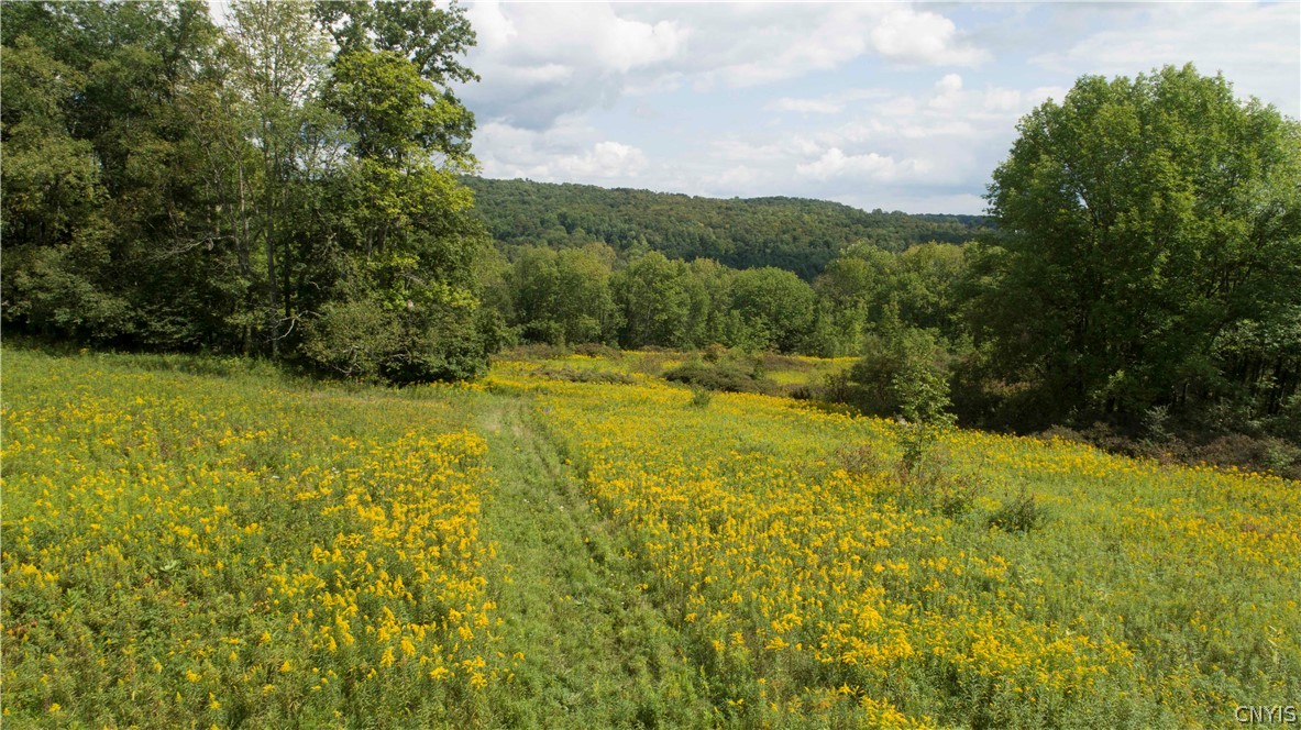 27-acres Blower Road Guilford, NY 13780 - Photo 11 of 13