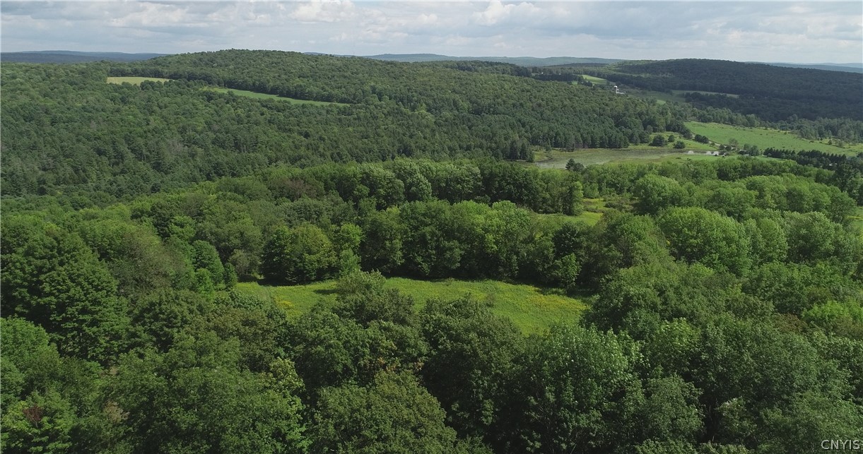 27-acres Blower Road Guilford, NY 13780 - Photo 12 of 13