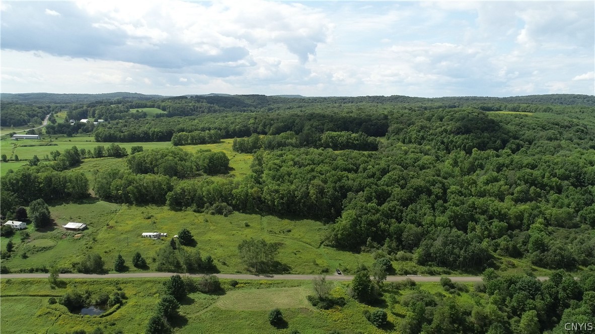 27-acres Blower Road Guilford, NY 13780 - Photo 2 of 13
