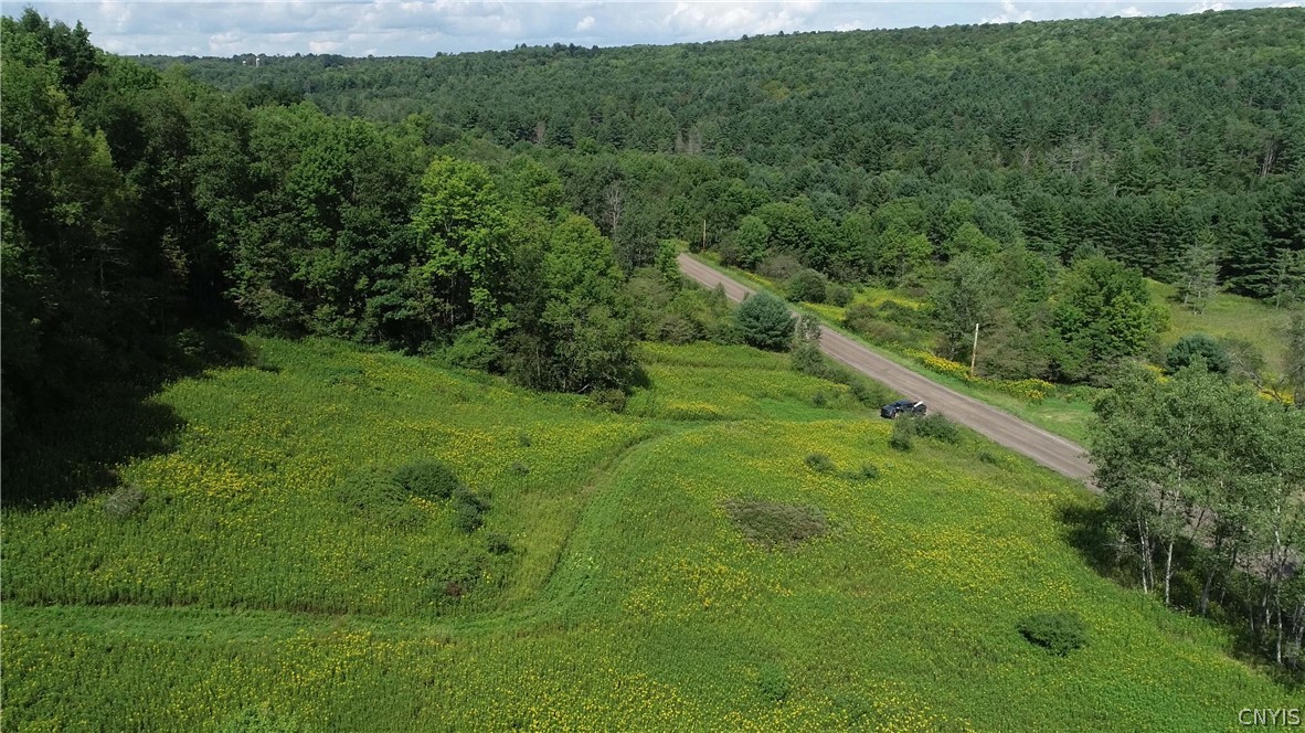 27-acres Blower Road Guilford, NY 13780 - Photo 3 of 13
