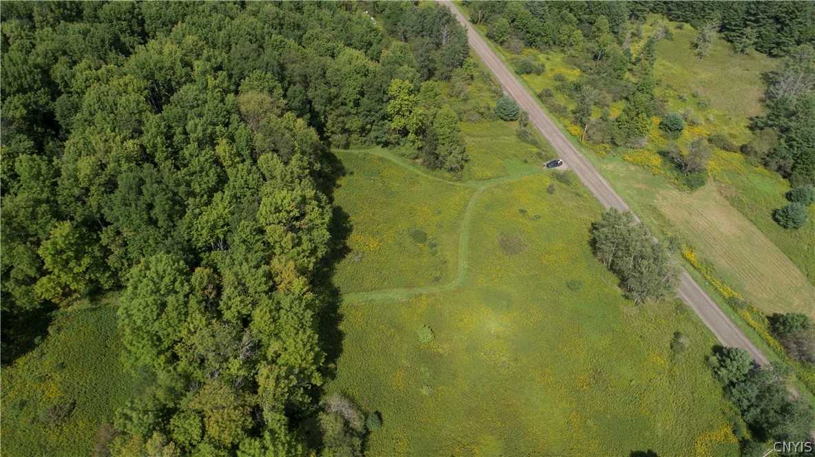 27-acres Blower Road Guilford, NY 13780 - Photo 4 of 13