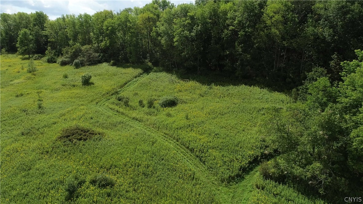 27-acres Blower Road Guilford, NY 13780 - Photo 5 of 13