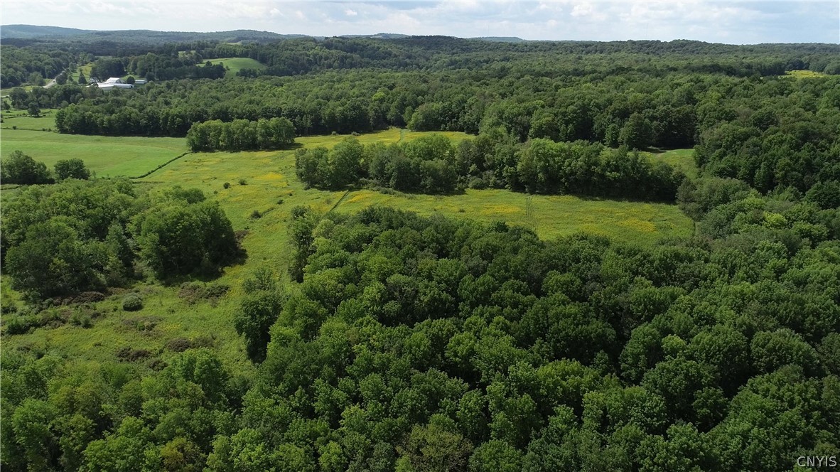27-acres Blower Road Guilford, NY 13780 - Photo 6 of 13