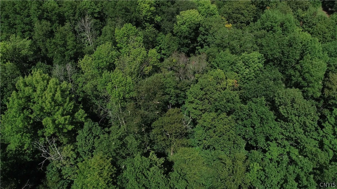 27-acres Blower Road Guilford, NY 13780 - Photo 7 of 13