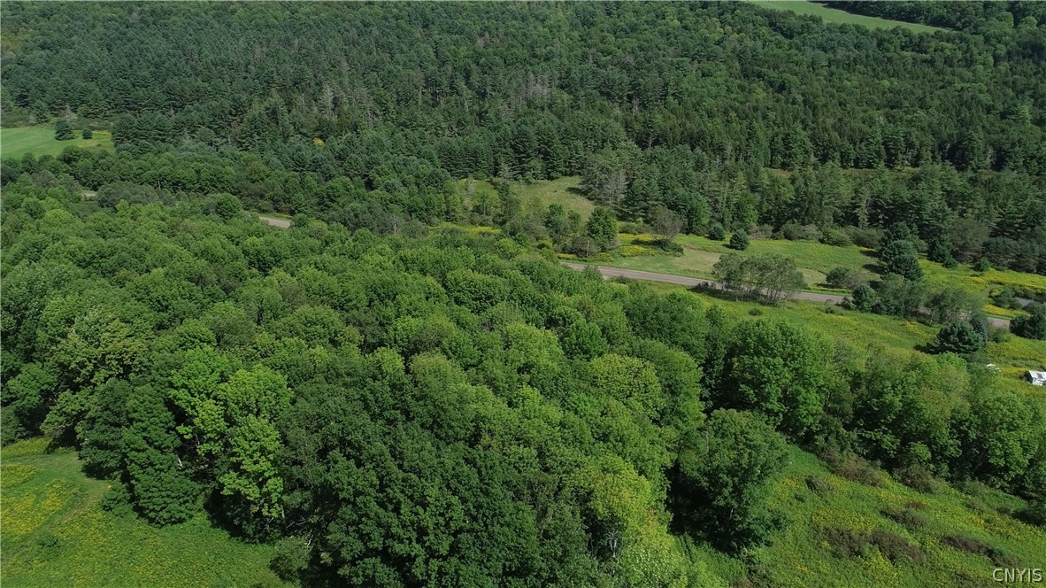 27-acres Blower Road Guilford, NY 13780 - Photo 8 of 13