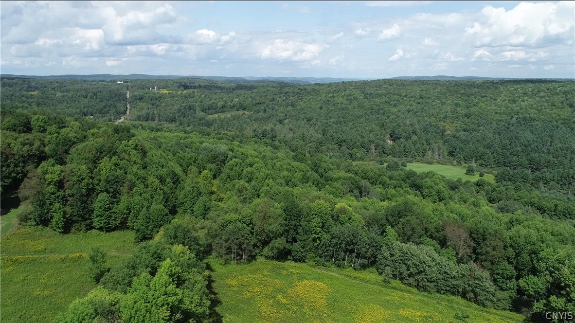 27-acres Blower Road Guilford, NY 13780 - Photo 9 of 13