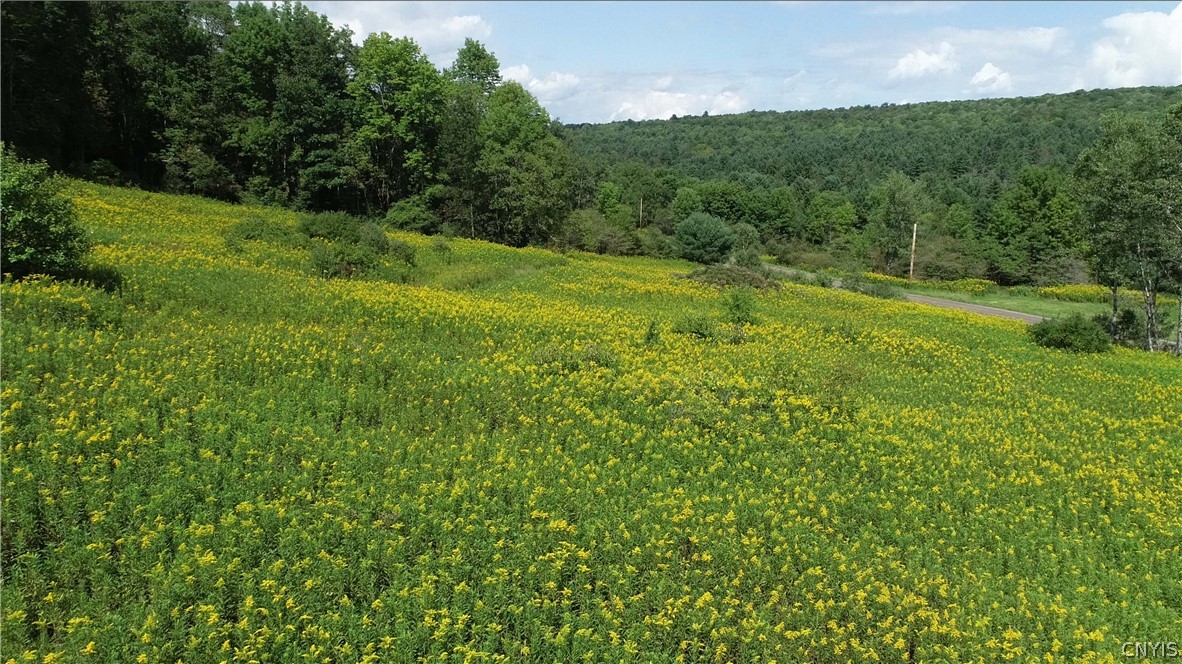 27-acres Blower Road Guilford, NY 13780 - Photo 10 of 13