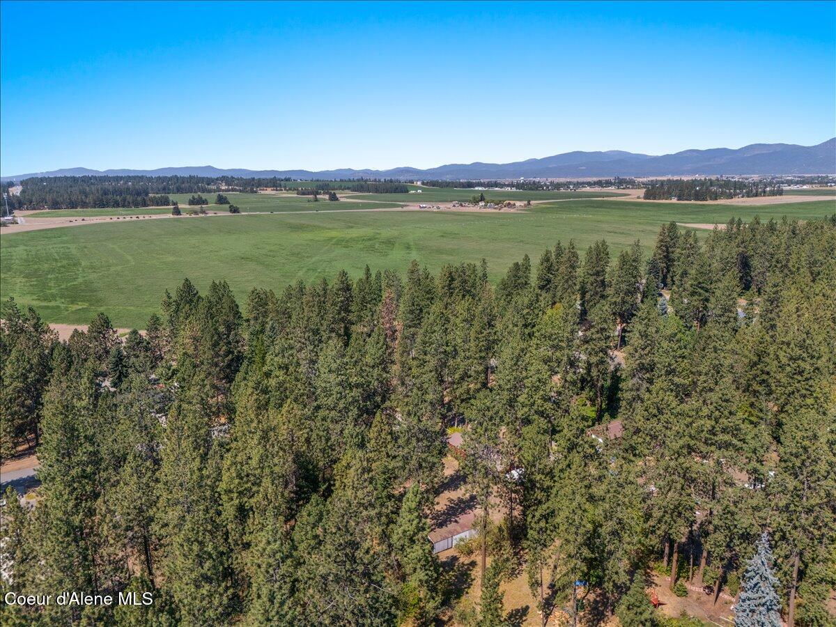 3506 Buckskin Road Coeur D'Alene, ID 83815 - Photo 62 of 65 65-Aerial back of home