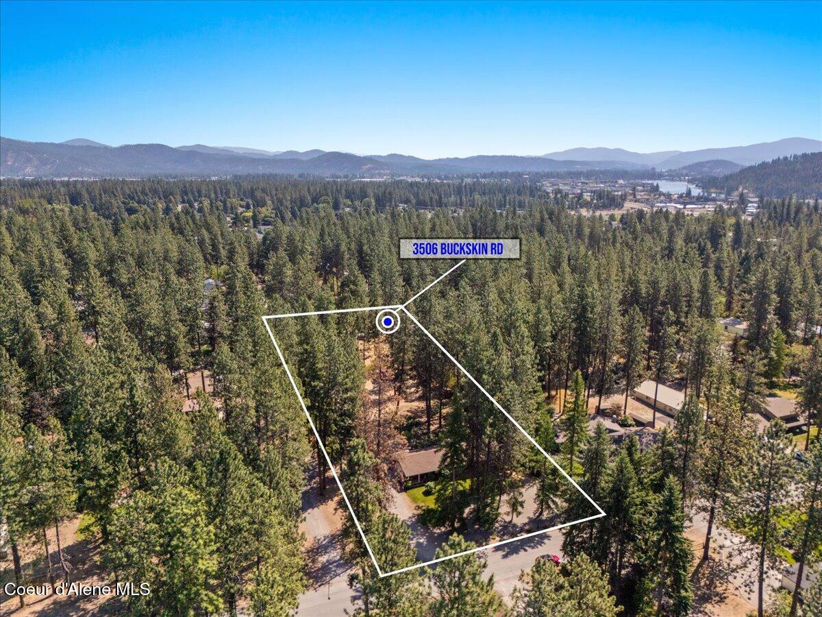 3506 Buckskin Road Coeur D'Alene, ID 83815 - Photo 7 of 65 01-Aerial front of home