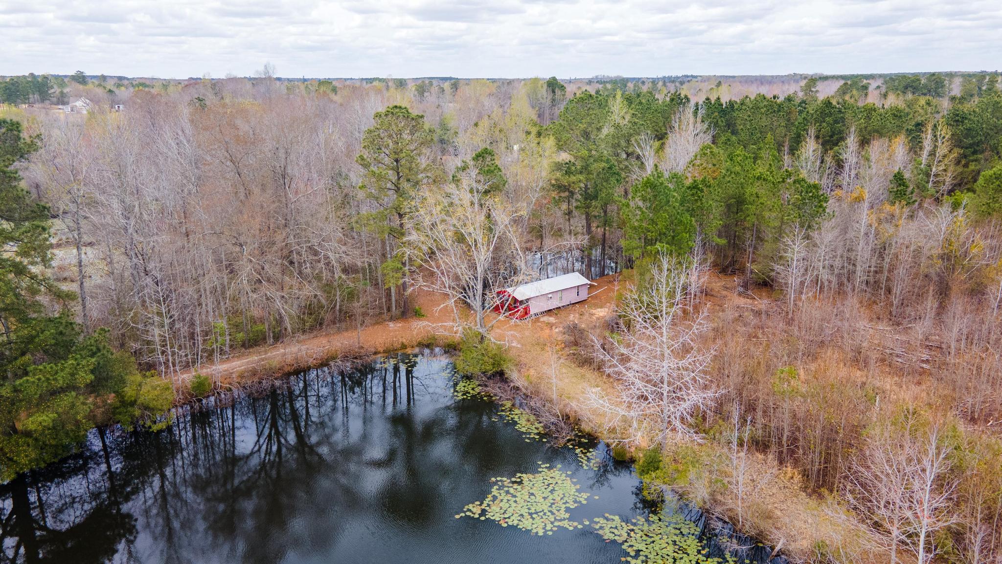 1420 Baltic Road Blackville, SC 29817 - Photo 10 of 22