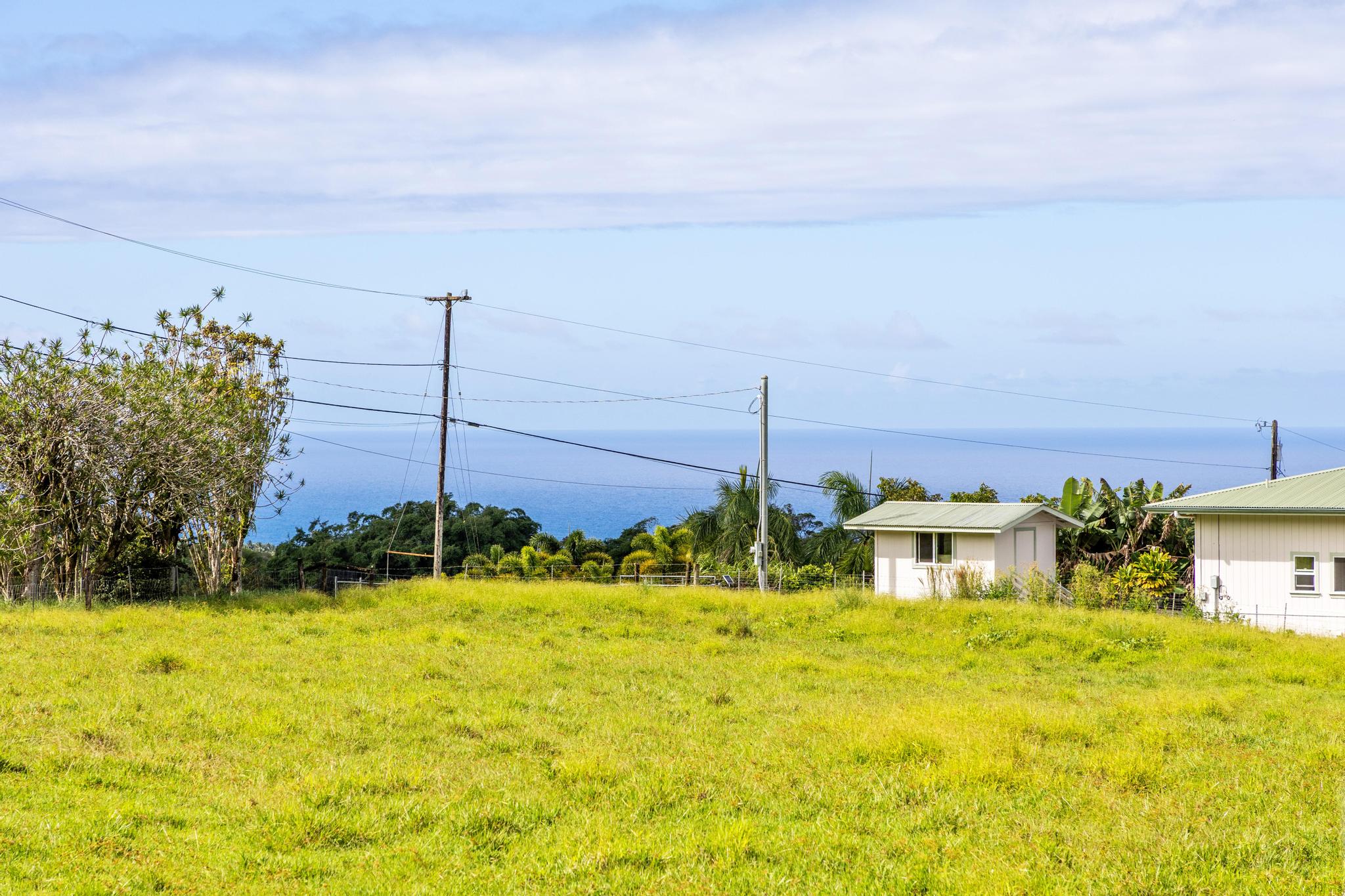 29-613 Lot Road Papaikou, HI 96781 - Photo 4 of 18