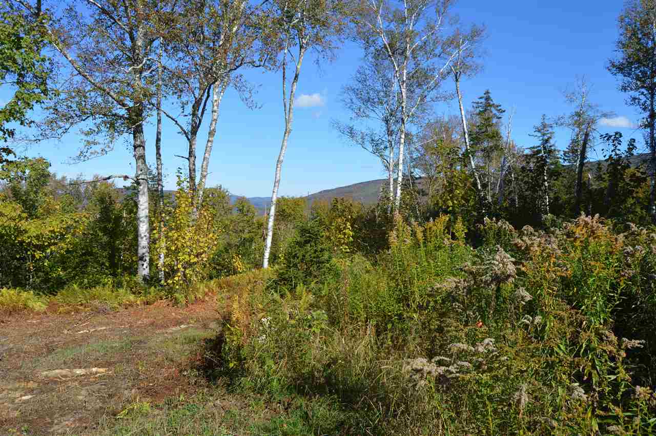 3 Healdville Road, Unit 3 Mount Holly, VT 05730 - Photo 2 of 6 Gallery Image 2
