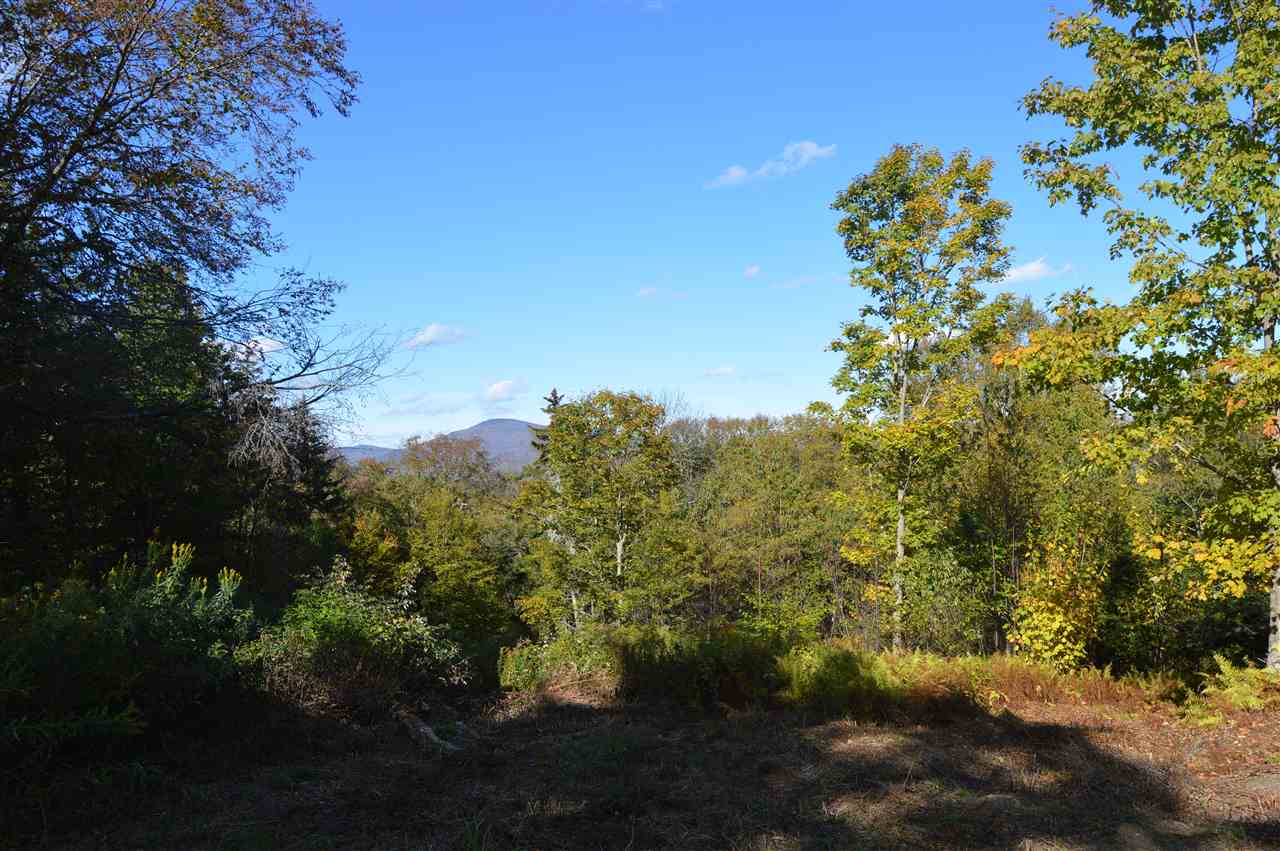 3 Healdville Road, Unit 3 Mount Holly, VT 05730 - Photo 3 of 6 Gallery Image 3