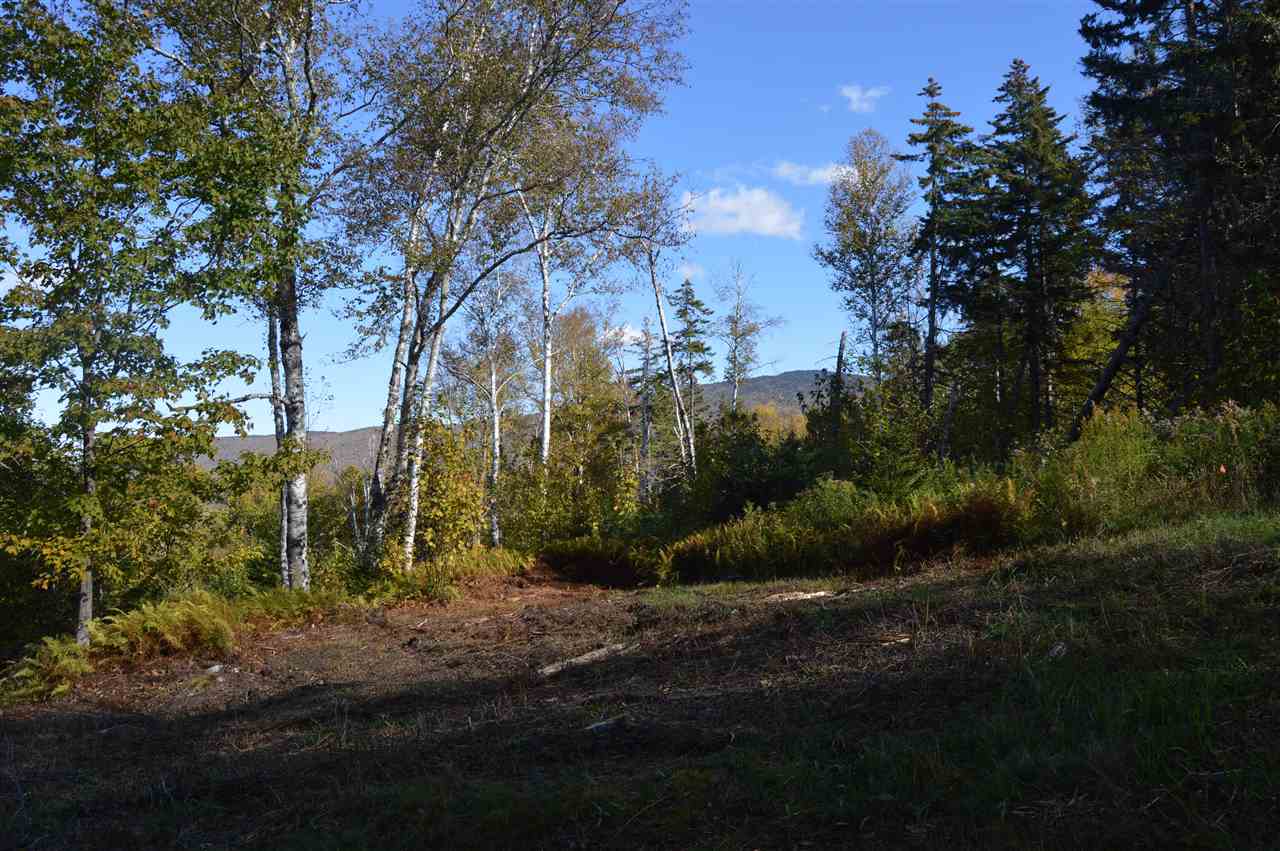3 Healdville Road, Unit 3 Mount Holly, VT 05730 - Photo 4 of 6 Gallery Image 4