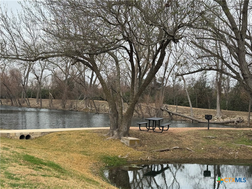 523 High Tech Drive Georgetown, TX 78626 - Photo 11 of 11 a view of a lake with a house