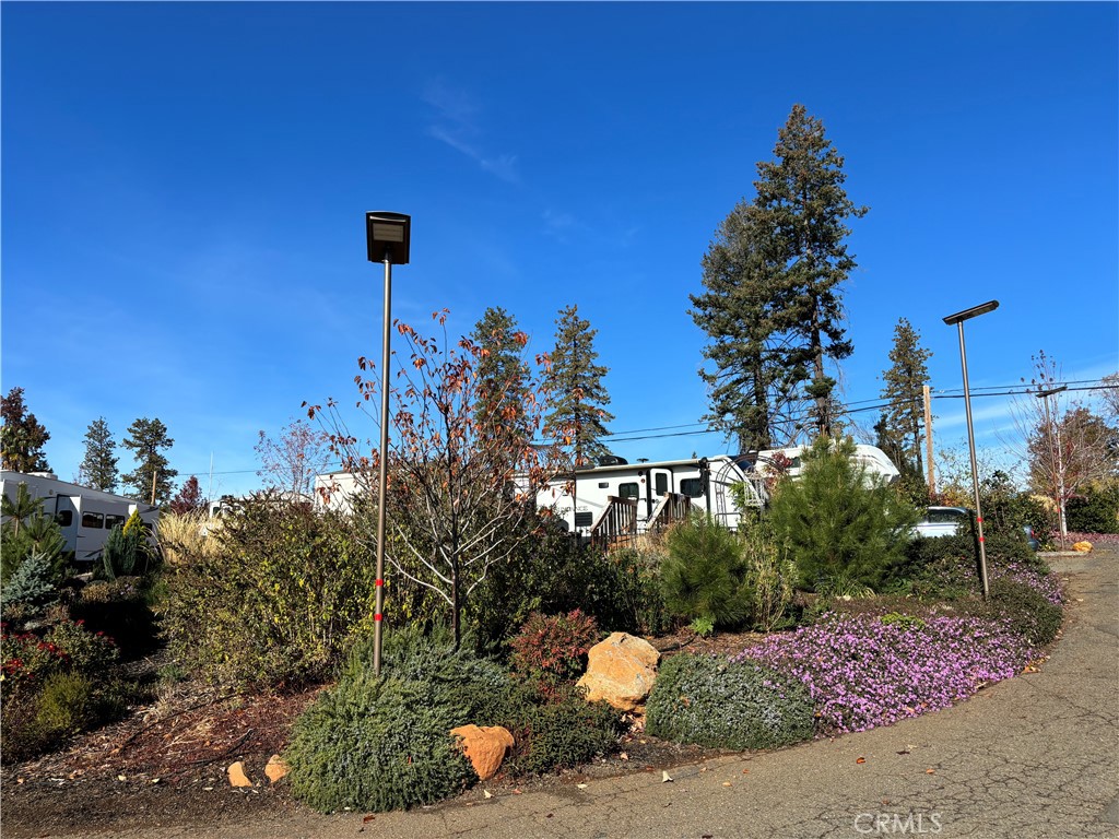 1340 Bille Road, Unit 13 Paradise, CA 95969 - Photo 29 of 31 a backyard of a house with lots of green space