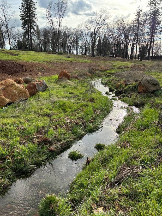 1340 Bille Road, Unit 13 Paradise, CA 95969 - Photo 31 of 31 a view of a golf ground with green space