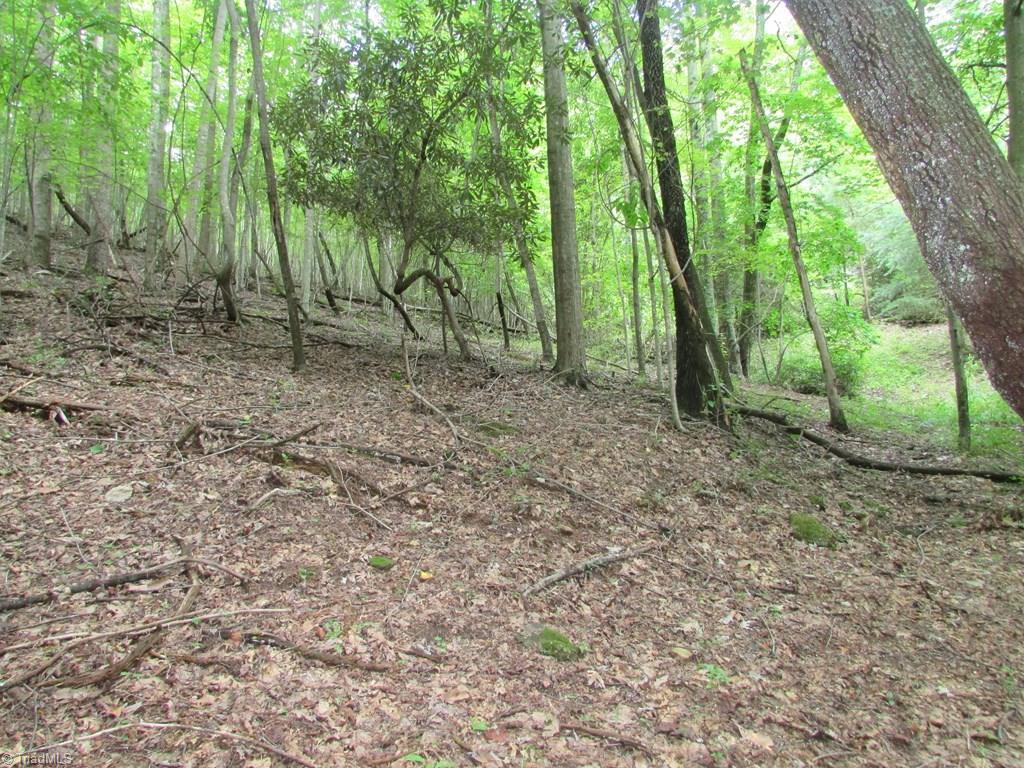 Tbd Adams Road Hays, NC 28635 - Photo 12 of 20 Gallery Image 12
