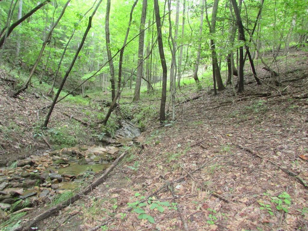 Tbd Adams Road Hays, NC 28635 - Photo 13 of 20 Gallery Image 13