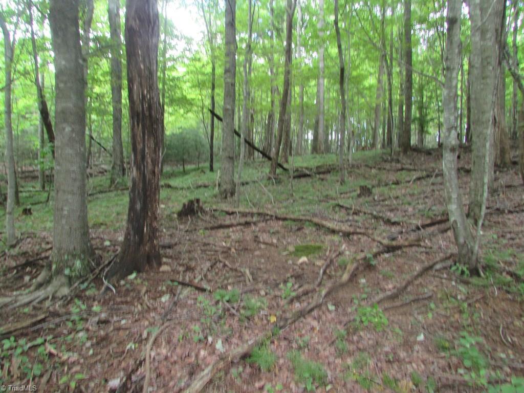 Tbd Adams Road Hays, NC 28635 - Photo 14 of 20 Gallery Image 14