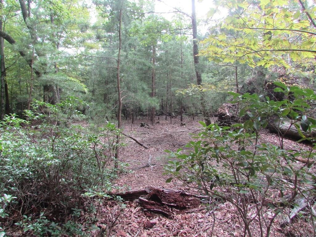 Tbd Adams Road Hays, NC 28635 - Photo 15 of 20 Gallery Image 15