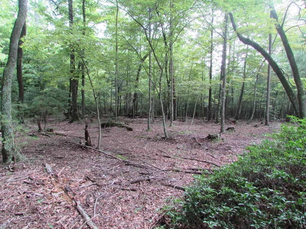 Tbd Adams Road Hays, NC 28635 - Photo 16 of 20 Gallery Image 16