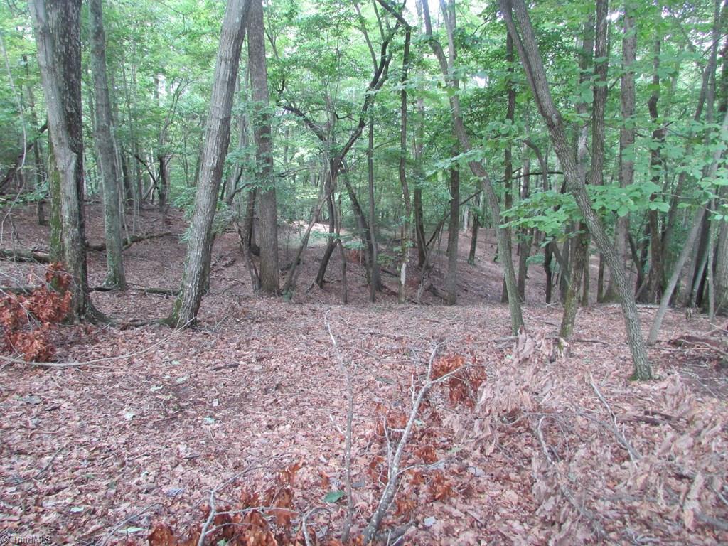 Tbd Adams Road Hays, NC 28635 - Photo 17 of 20 Gallery Image 17