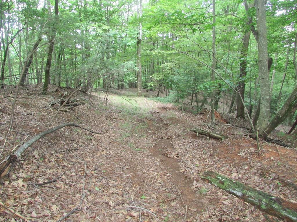 Tbd Adams Road Hays, NC 28635 - Photo 18 of 20 Gallery Image 18