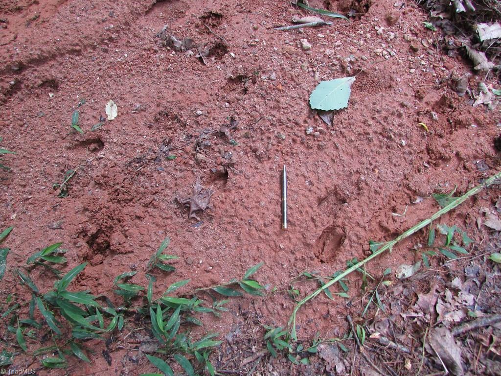 Tbd Adams Road Hays, NC 28635 - Photo 20 of 20 Gallery Image 20