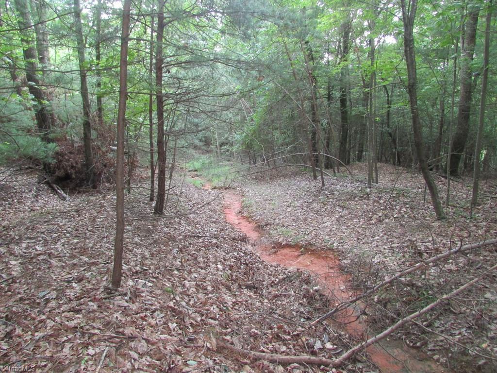 Tbd Adams Road Hays, NC 28635 - Photo 3 of 20 Gallery Image 3