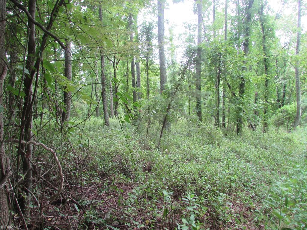 Tbd Adams Road Hays, NC 28635 - Photo 6 of 20 Gallery Image 6