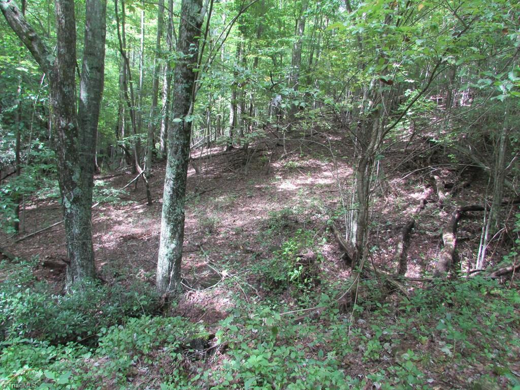 Tbd Adams Road Hays, NC 28635 - Photo 7 of 20 Gallery Image 7