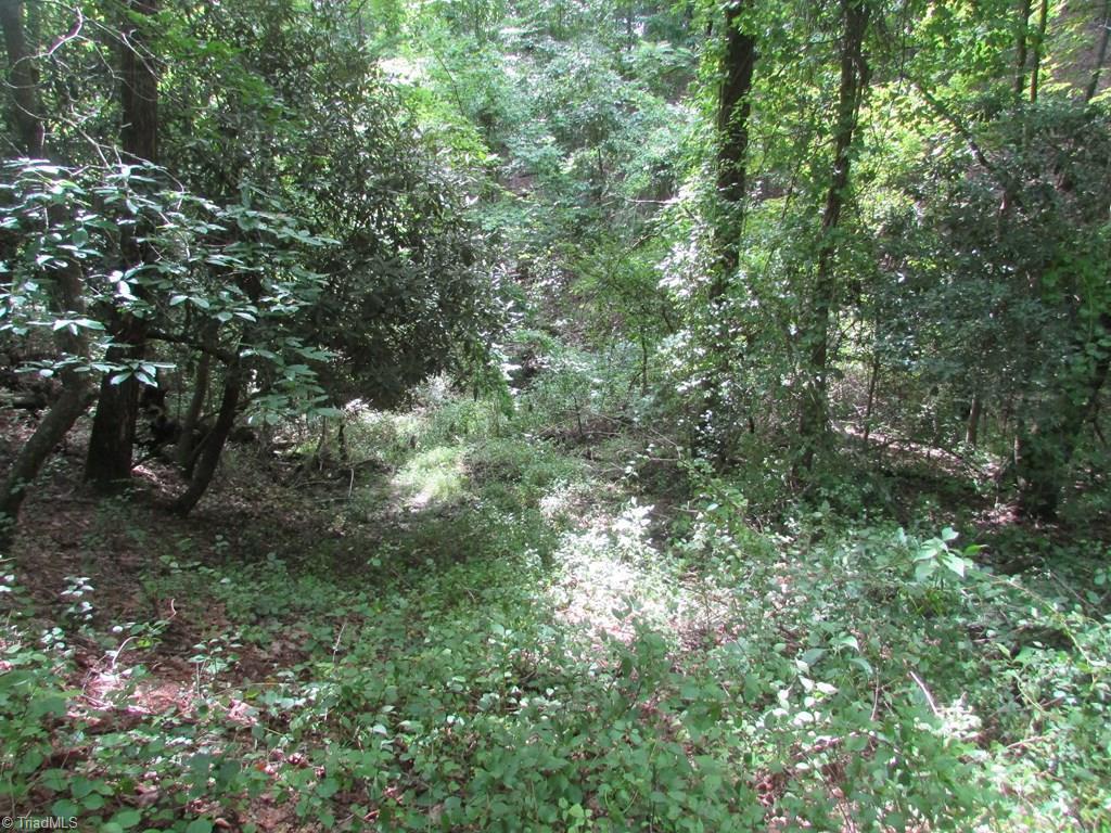 Tbd Adams Road Hays, NC 28635 - Photo 8 of 20 Gallery Image 8
