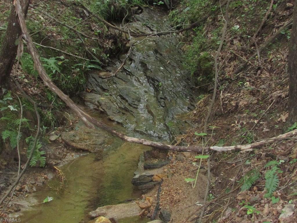 Tbd Adams Road Hays, NC 28635 - Photo 10 of 20 Gallery Image 10