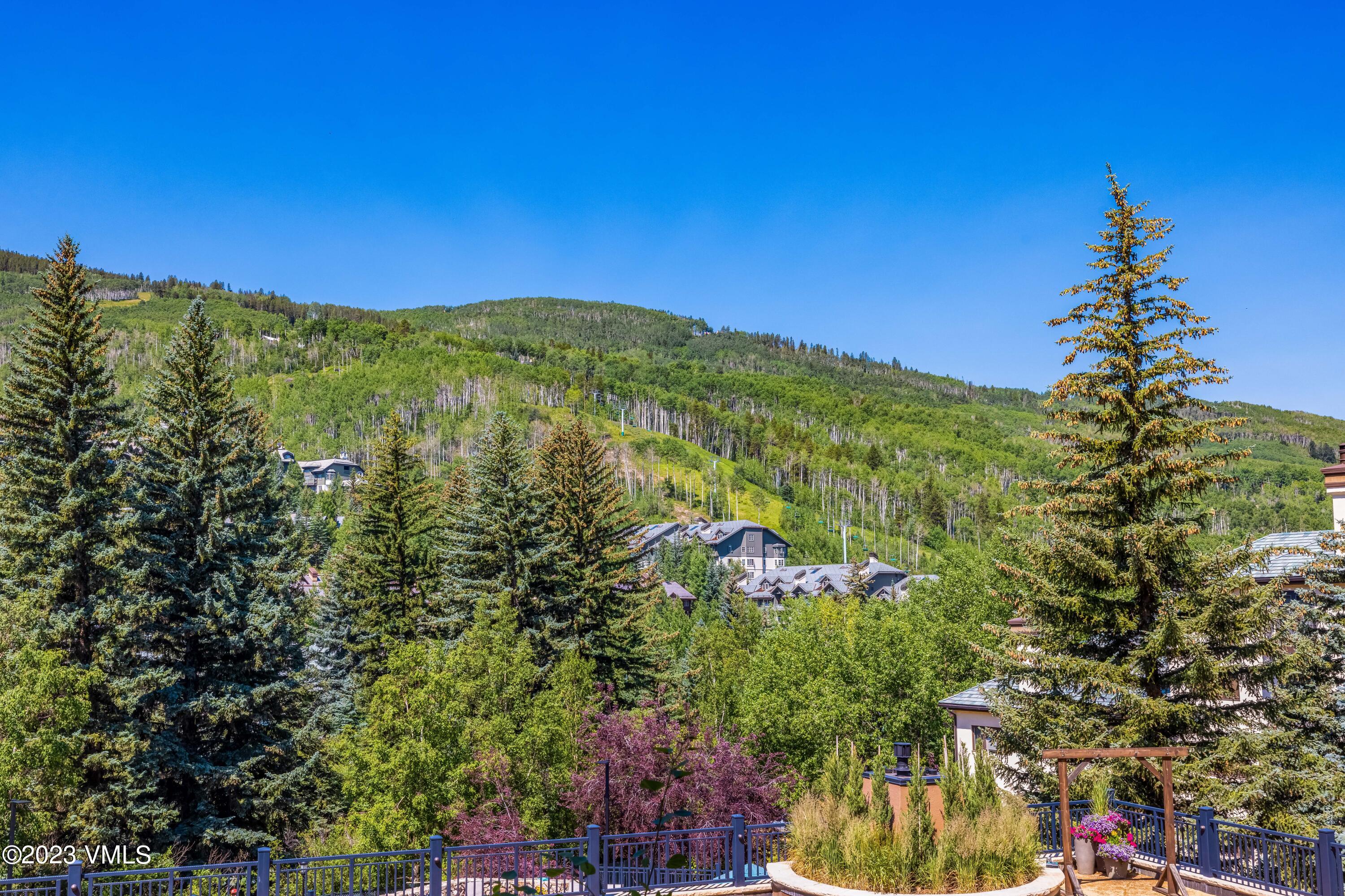 120 Offerson Road, Unit D260 Beaver Creek, CO 81620 - Photo 26 of 41 a view of a yard with a tree