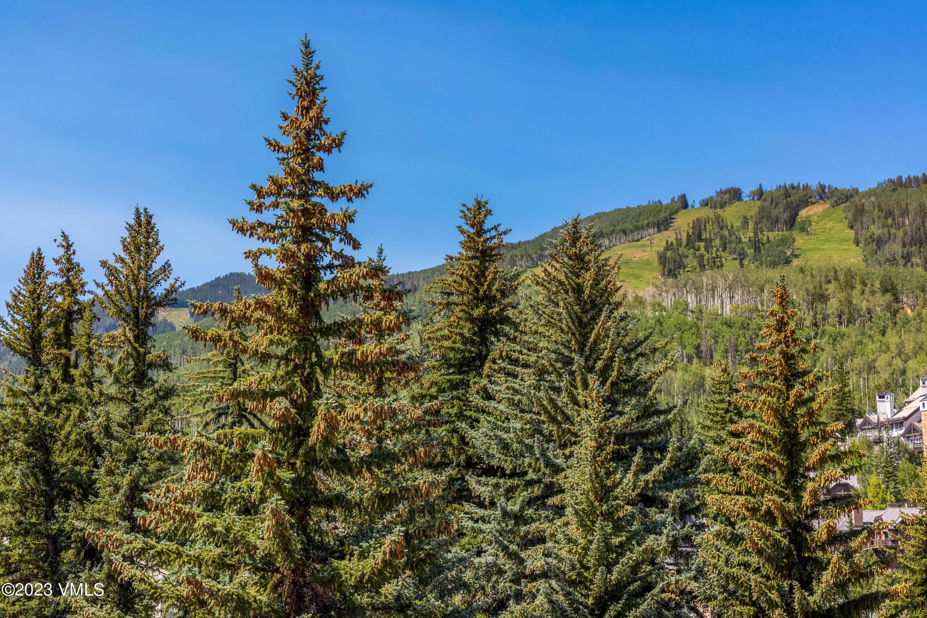 120 Offerson Road, Unit D260 Beaver Creek, CO 81620 - Photo 28 of 41 a view of a large building with a tree in the background