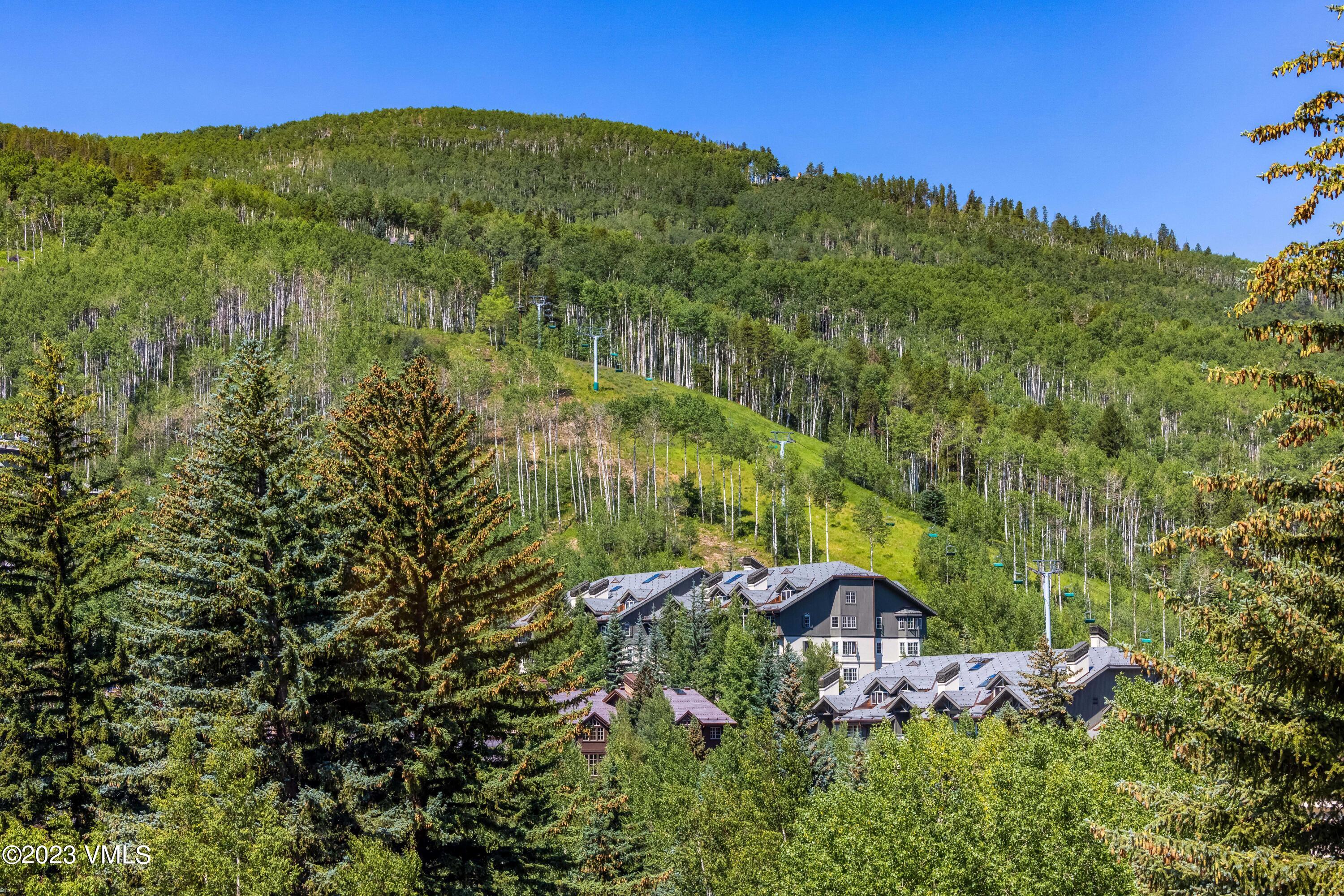 120 Offerson Road, Unit D260 Beaver Creek, CO 81620 - Photo 29 of 41 a view of a house with a yard