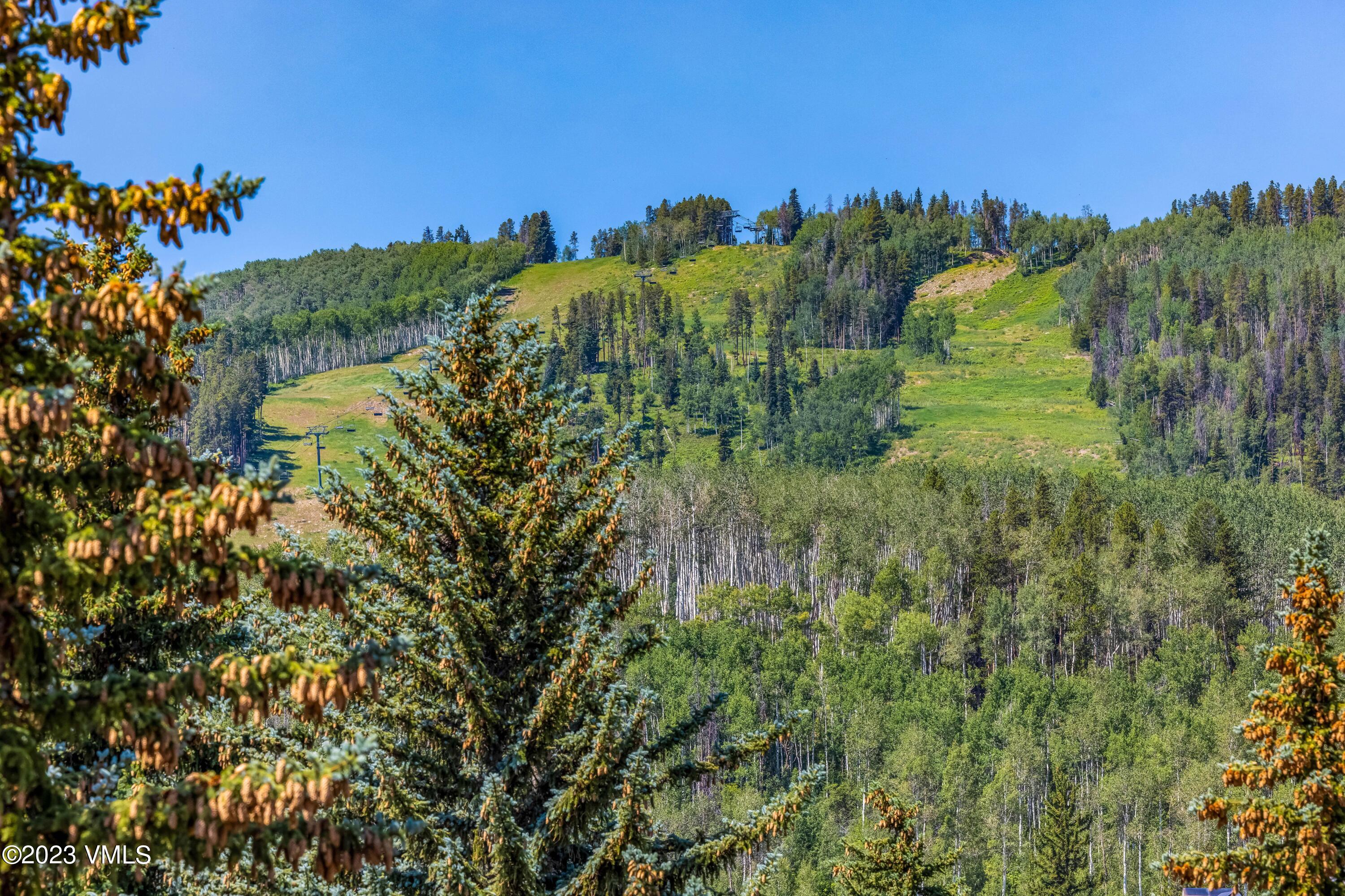 120 Offerson Road, Unit D260 Beaver Creek, CO 81620 - Photo 30 of 41 a view of a yard