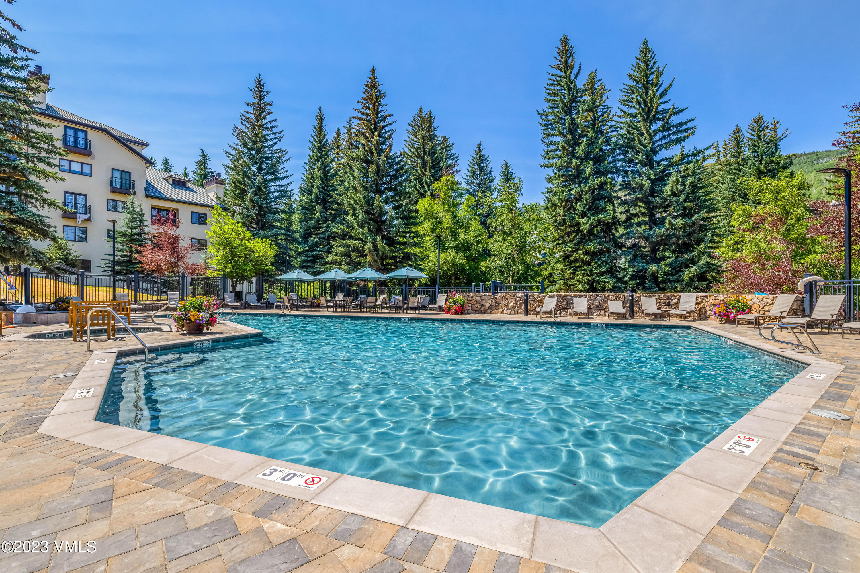 120 Offerson Road, Unit D260 Beaver Creek, CO 81620 - Photo 37 of 41 swimming pool view with a garden space