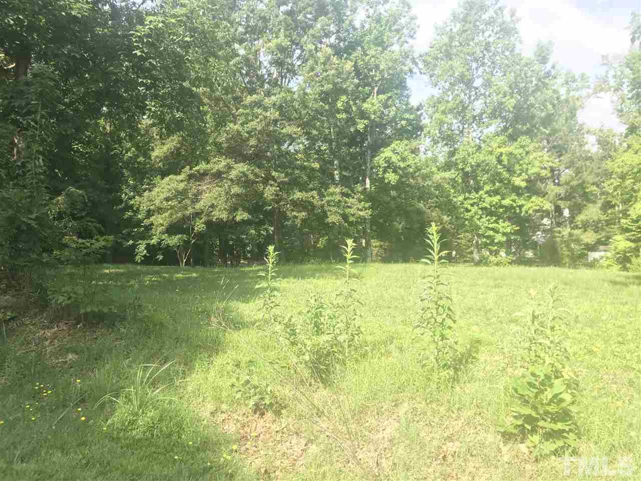 0 Normandy Road Louisburg, NC 27549 - Photo 4 of 5 From road