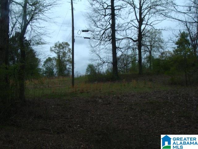 406 Caffe Ridge, Unit PARCEL Woodstock, AL 35188 - Photo 16 of 30