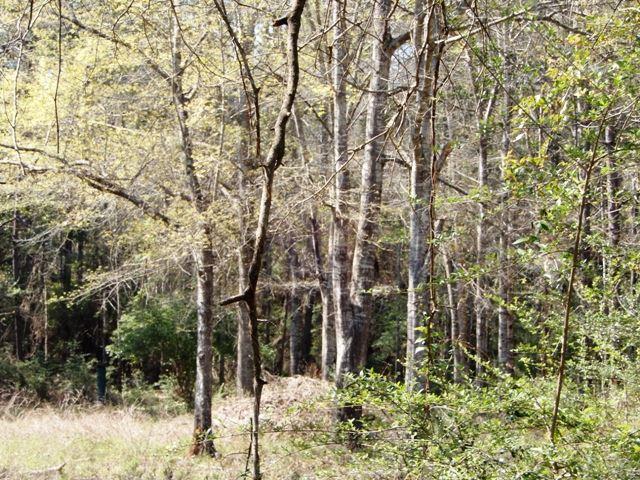 1809 Mittie Crain Road Milton, FL 32570 - Photo 25 of 31 Gallery Image 25