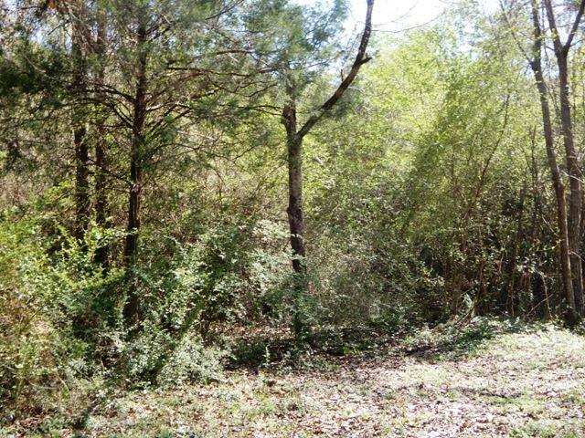 1809 Mittie Crain Road Milton, FL 32570 - Photo 28 of 31 Gallery Image 28