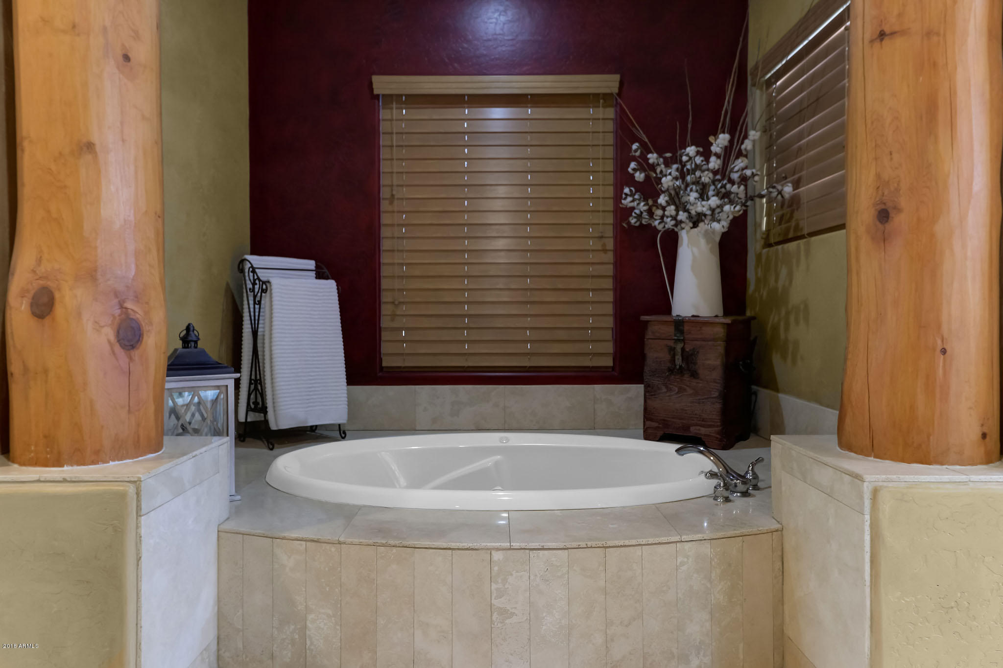 726 West Briles Road Phoenix, AZ 85085 - Photo 34 of 63 Master Jet Tub 1