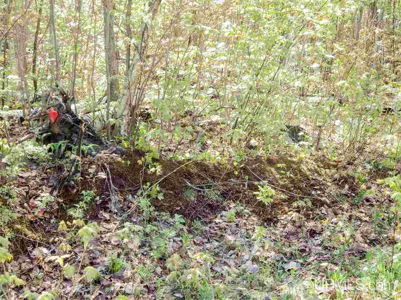 30 Acres Off Grove Street Marquette, MI 49855 - Photo 15 of 22