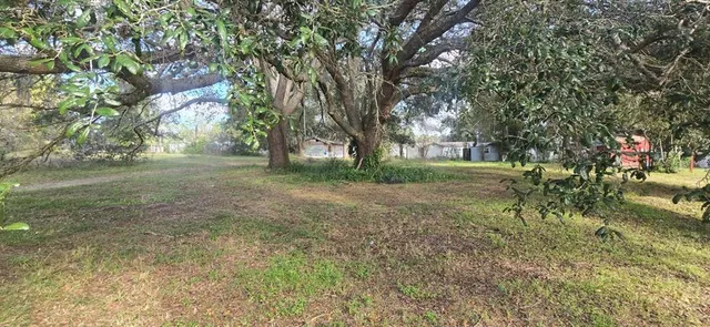 a view of a yard with a tree