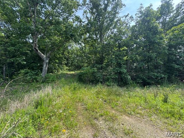 7604 State Highway 32 Farmington, MO 63640 - Photo 9 of 10