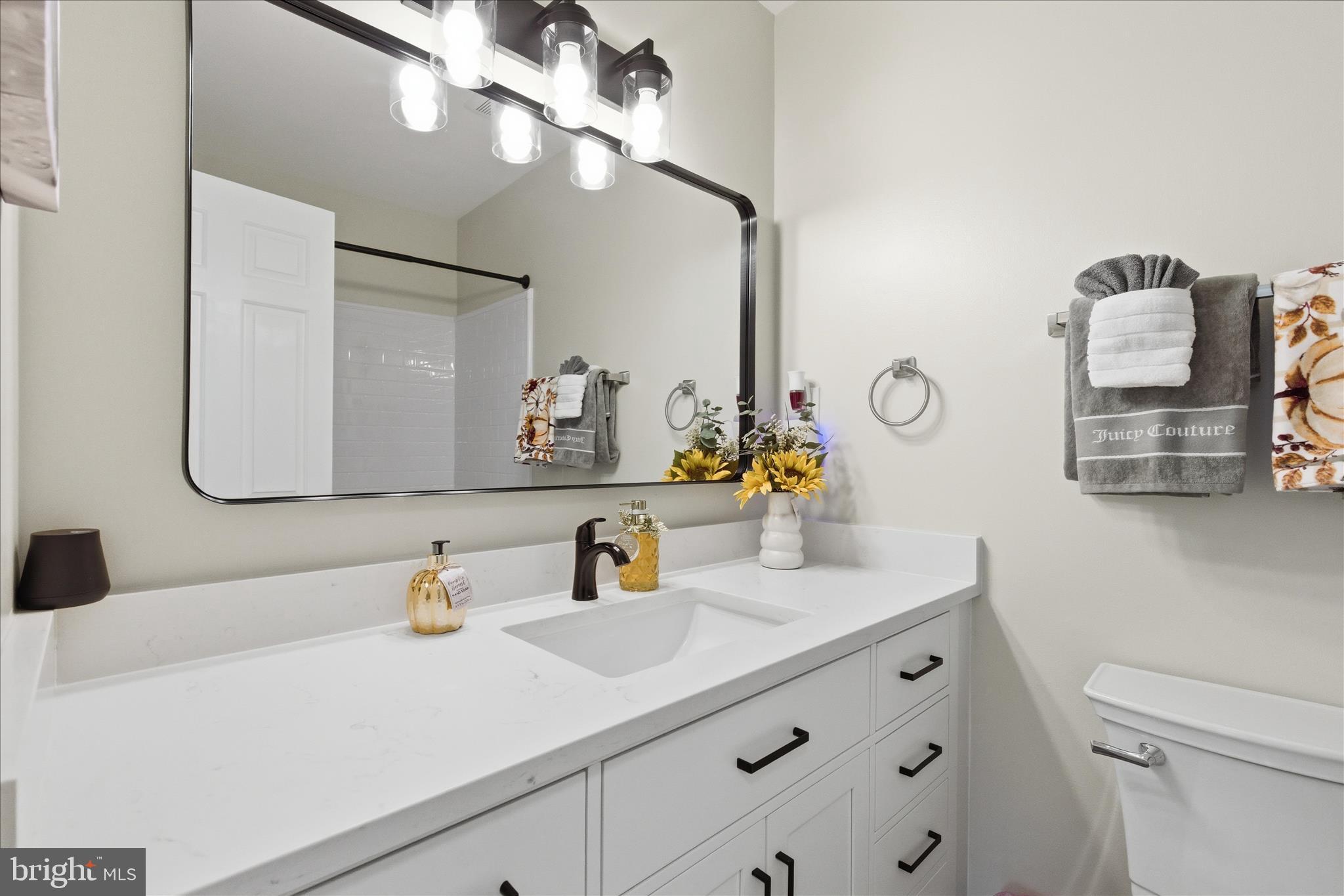 2816 Ridge Road Waldorf, MD 20603 - Photo 31 of 46 a bathroom with a sink and a mirror