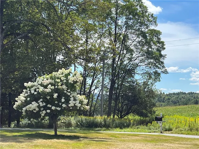 $475,000 | 196 Short Crumhorn Road, Maryland, NY 12116