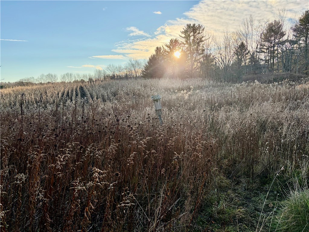 196 Short Crumhorn Road Maryland, NY 12116 - Photo 36 of 39